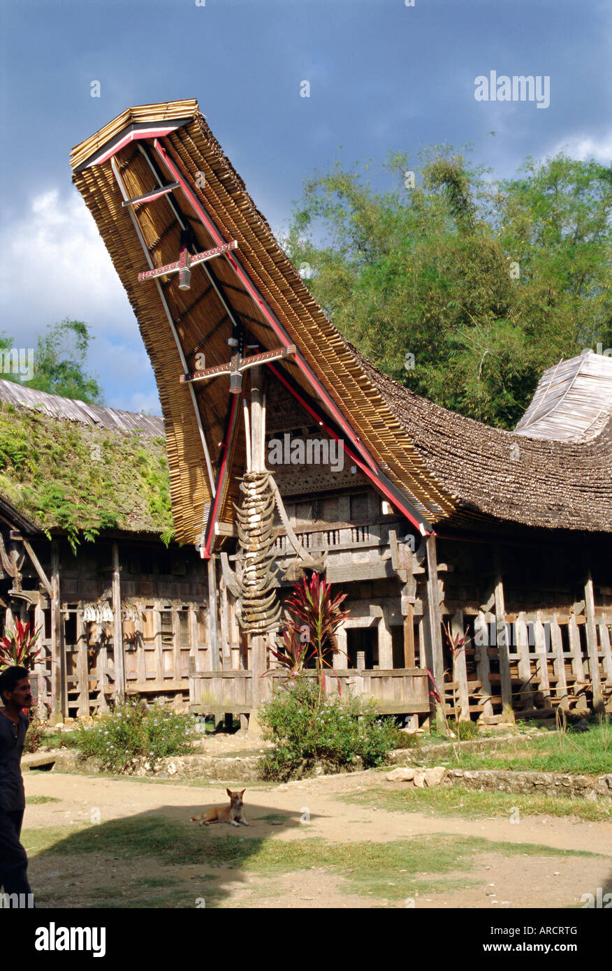 Típica casa y granero, zona Toraja, Sulawesi, Indonesia Foto de stock