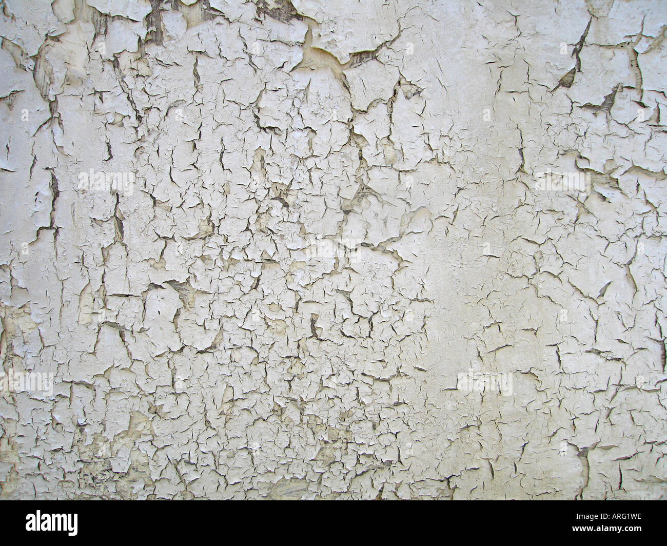 Craquelado blanco pintura en madera Fotografía de stock - Alamy