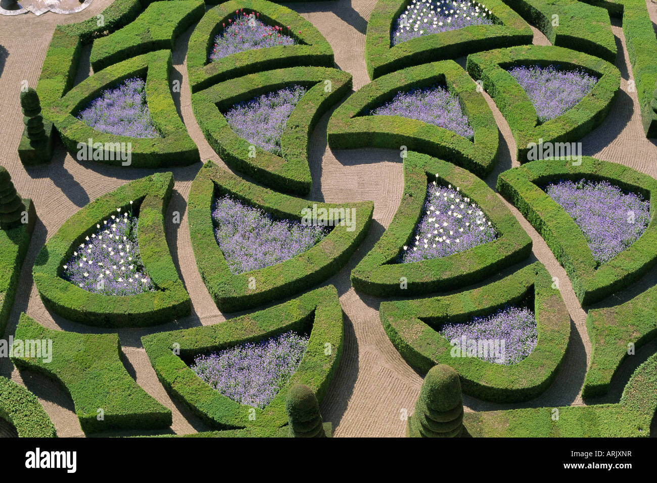 Los jardines formales, el château de Villandry, Indre et Loire, Valle del Loira, Francia, Europa Foto de stock