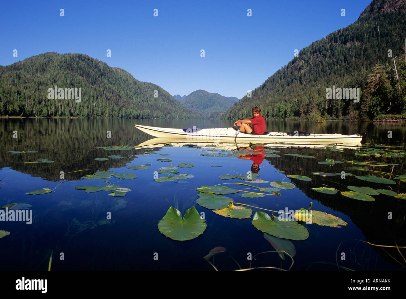Reserva de Biosfera Megin Clayoquot, Lago, kayakista y nenúfares, Isla de Vancouver, British Columbia, Canadá. Foto de stock