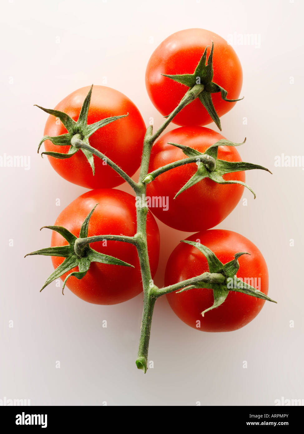 Materias tomates frescos sobre la vid Foto de stock