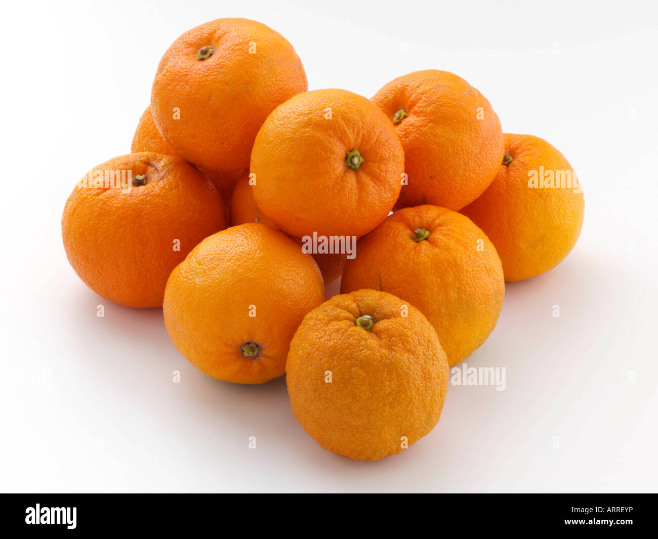 Toda Sevilla Español naranjas ingredientes de frutas sobre un fondo blanco alimentos editorial Foto de stock