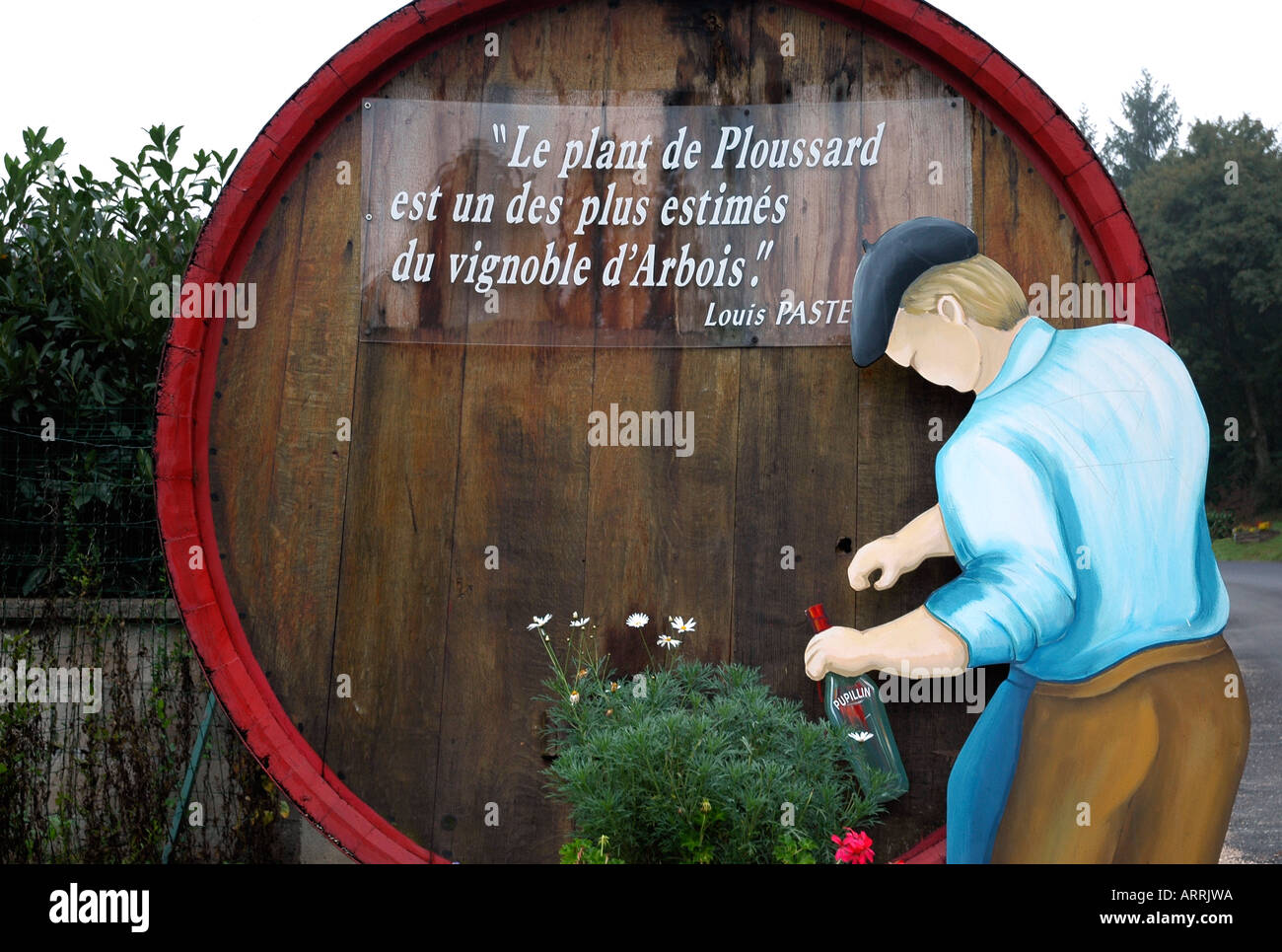 En la aldea de jura de vinificación Pupillin un barril muestra una cita de Louis Pasteur sobre los méritos de la uva Ploussard local Foto de stock