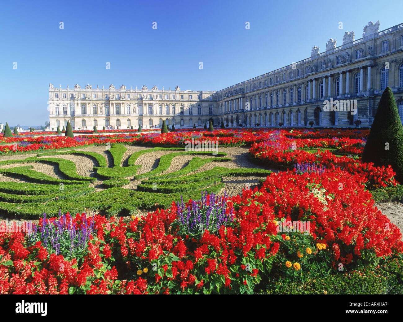 Los jardines de flores en el Palacio de Versalles, cerca de París Fotografía de stock - Alamy Los jardines de flores en el Palacio de Versalles, cerca de París Fotografía de stock - Alamy