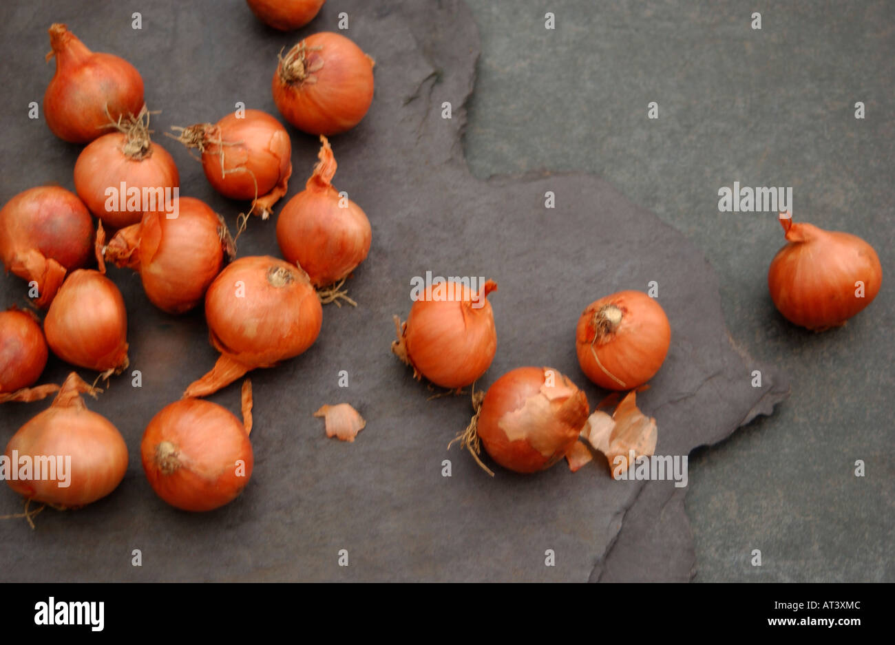 Grupo de cebollas Foto de stock