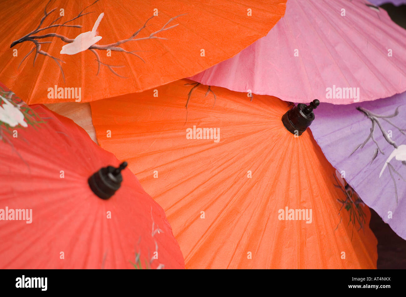 Thai artesanales paraguas en la aldea de artesanía de Bo Sang cerca de  Chaing Mai en Tailandia Fotografía de stock - Alamy