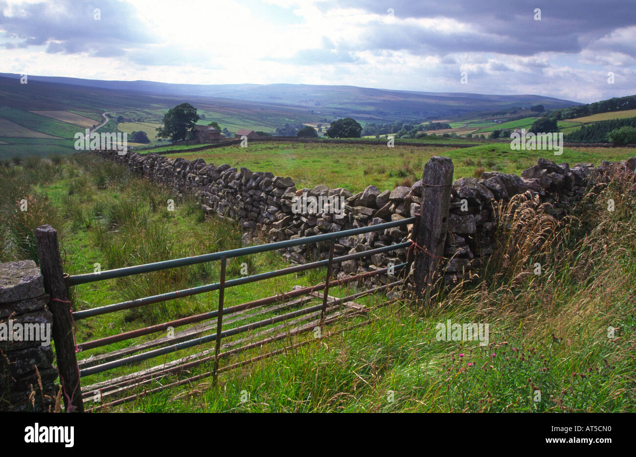 Alston Moor, upper Teesdale, Los Peninos del Norte, Inglaterra Foto de stock