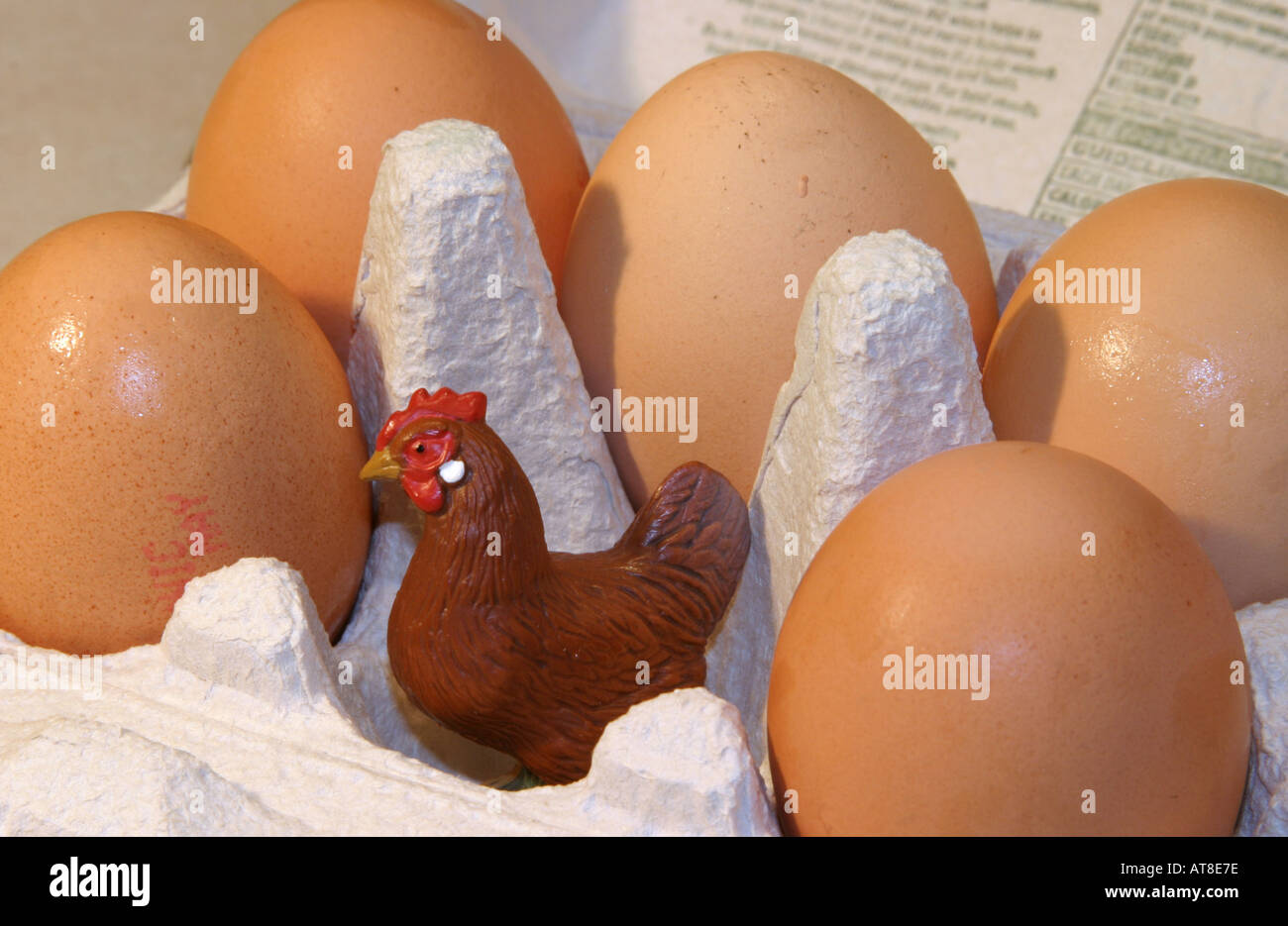 Count your chickens fotografías e imágenes de alta resolución - Alamy