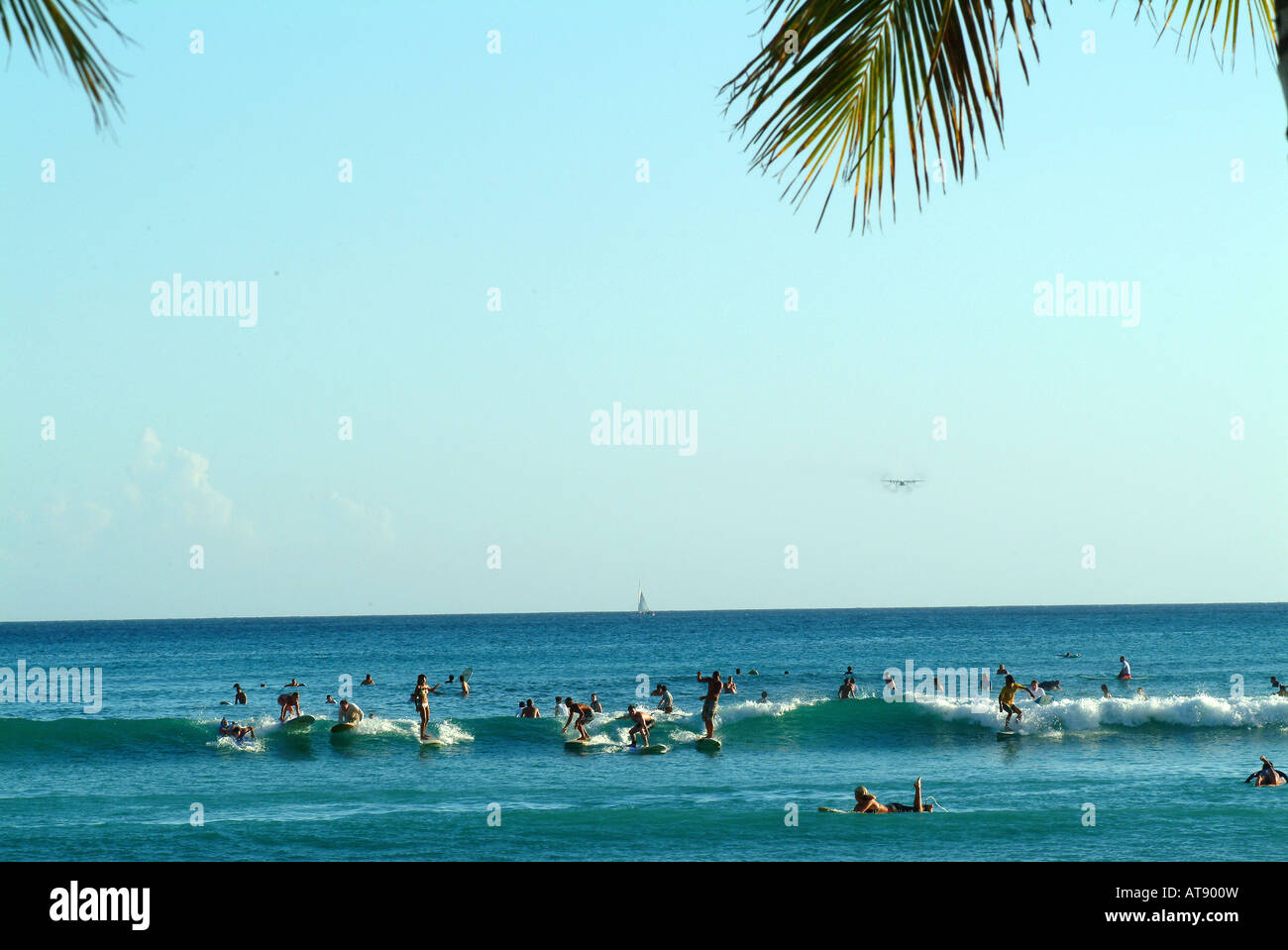 Waikiki beach con muchos surfistas montando olas pequeñas cerca de la costa Foto de stock
