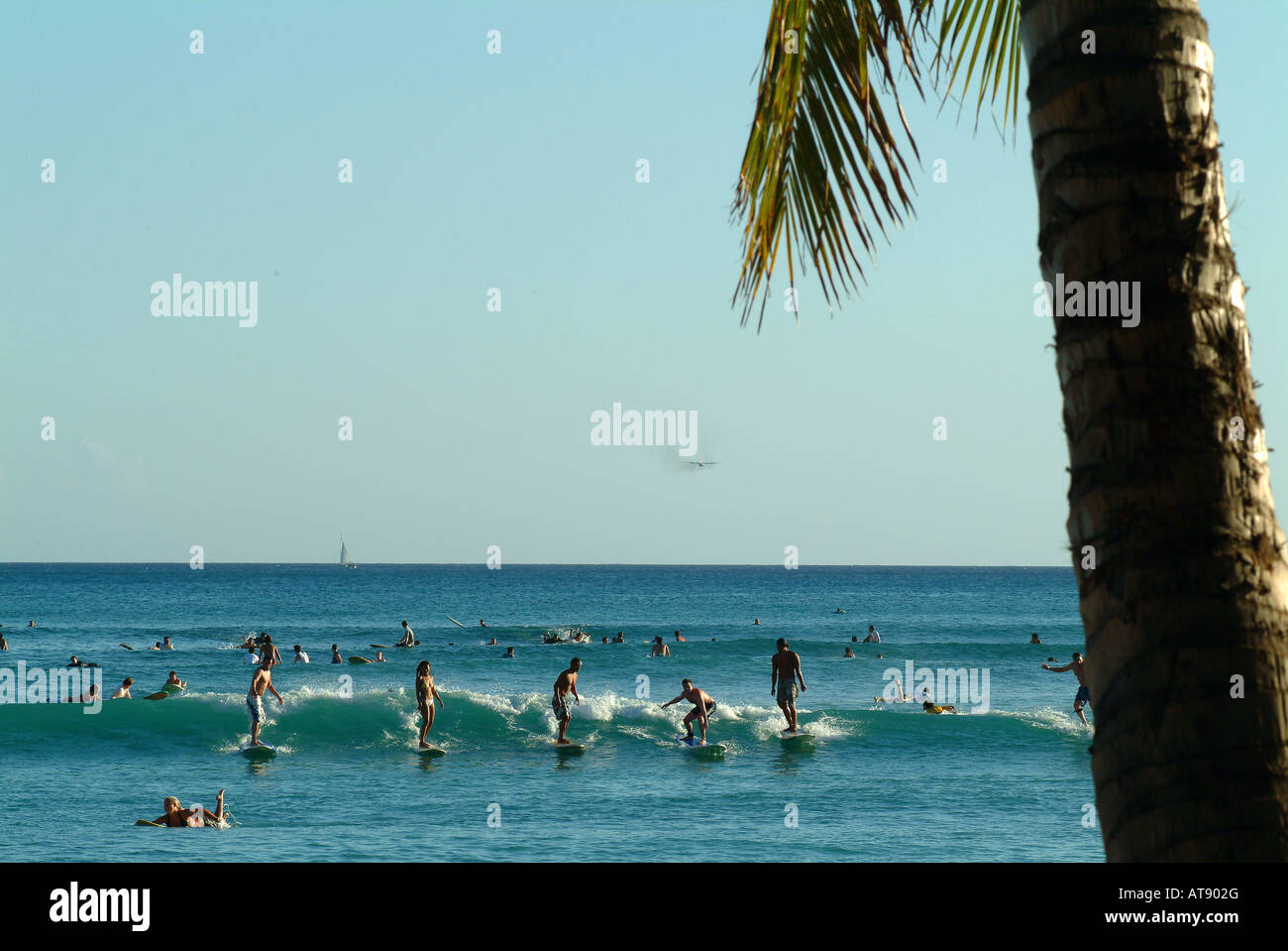 Waikiki beach con muchos surfistas montando olas pequeñas cerca de la costa Foto de stock