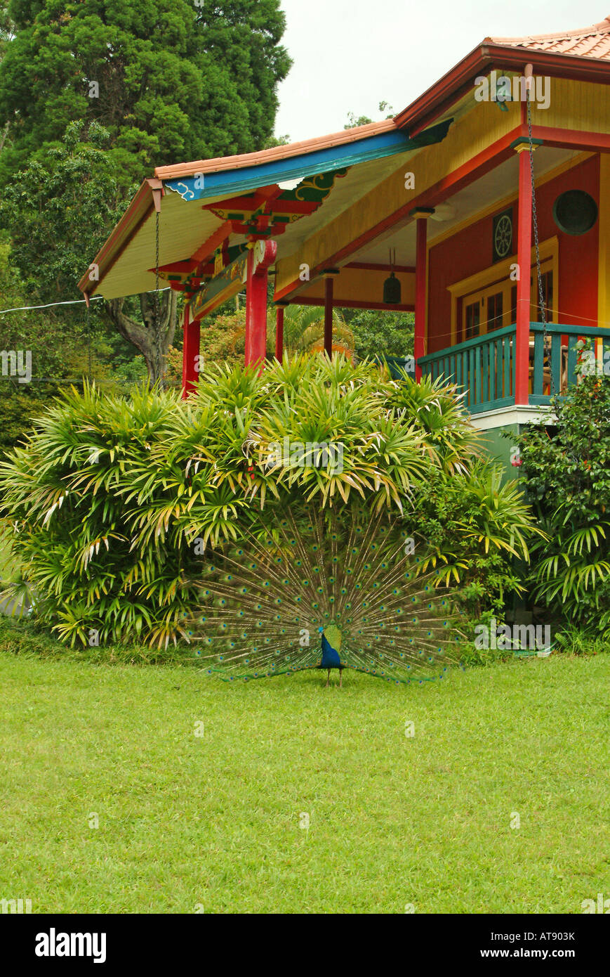 Templo del Valle de madera y un centro de retiros de meditación, en Pahala UAE en el lado de la Isla Grande de Hawai Foto de stock