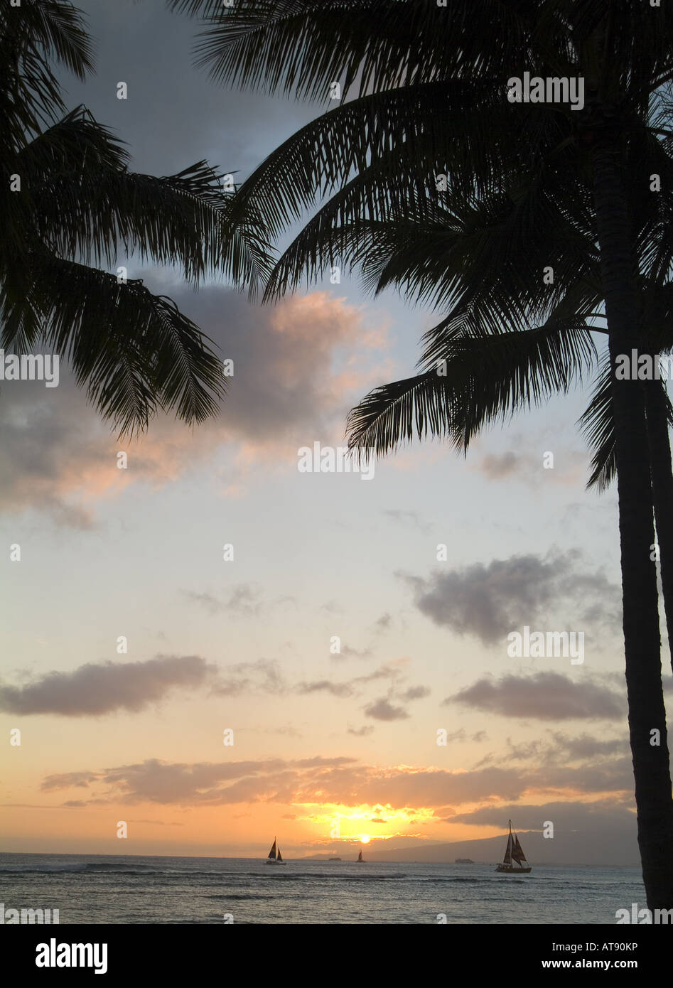 Dos palmas están perfilados contra un hermoso atardecer off reinas playa en Waikiki. Foto de stock