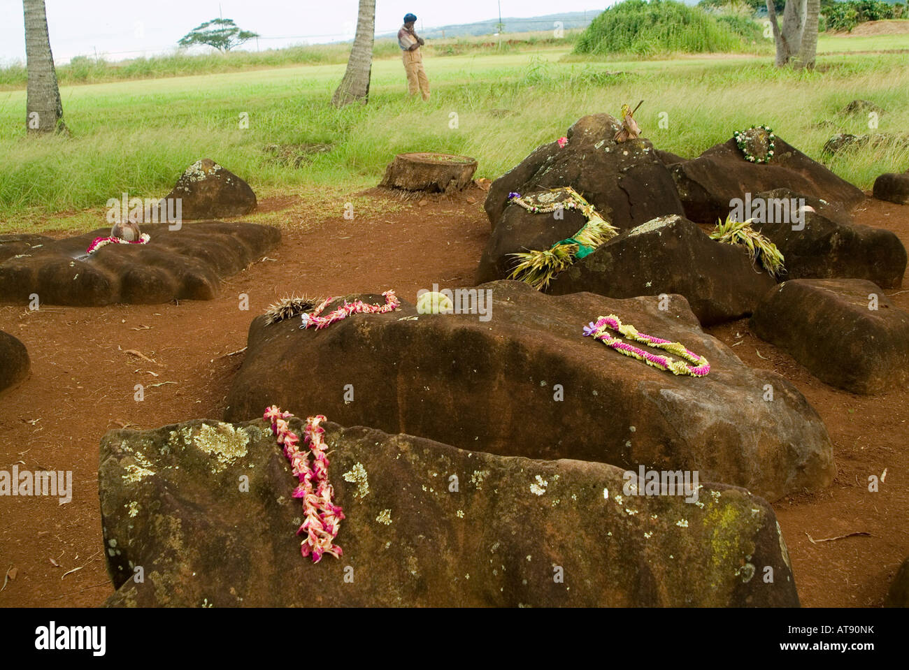 Estado Kukaniloko monumento histórico (piedras) de parto real en Wahiawa, Oahu. Close-up de piedras adornadas con lei ofrendas. Foto de stock