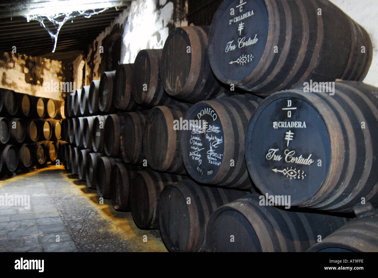 Jerez de la Frontera Jerez Destillerie Domecq barrals en bodega showroom de madera Foto de stock