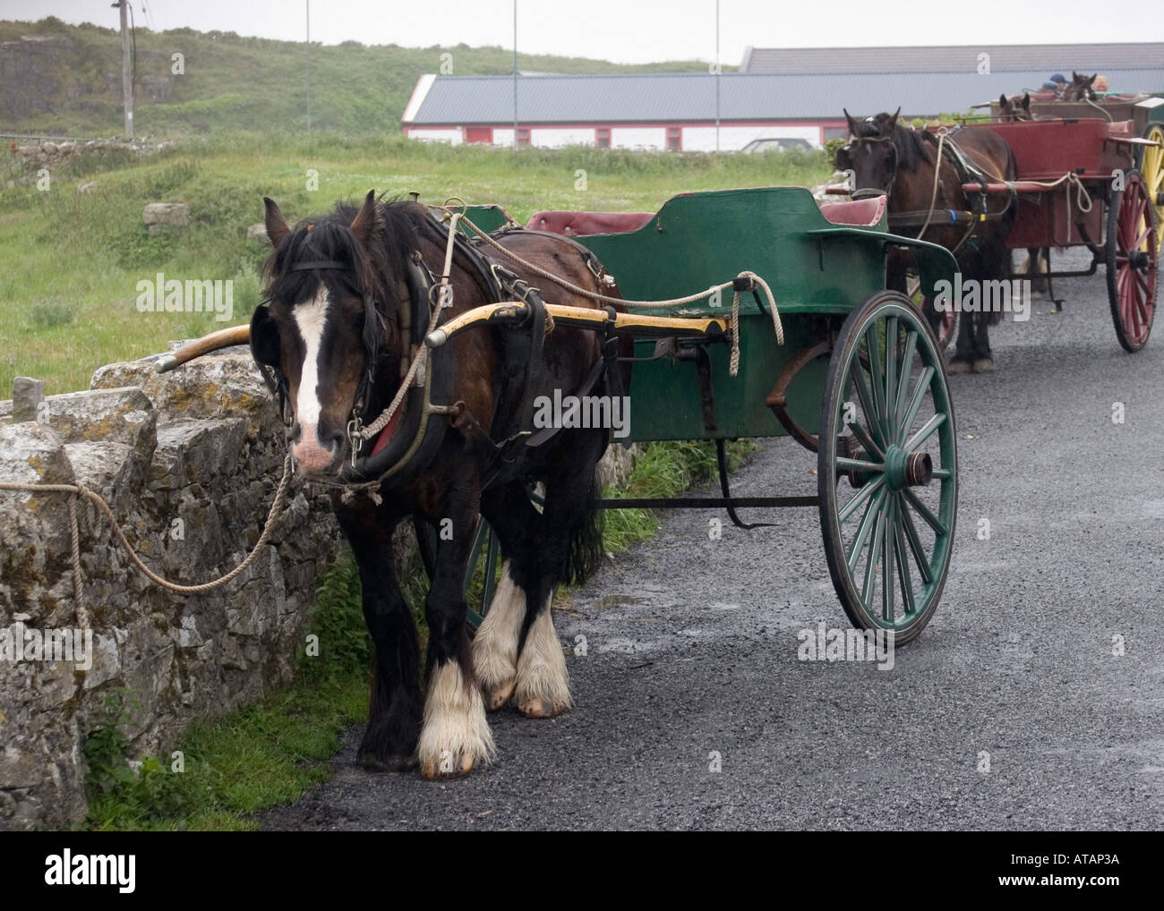 Carros tirados por caballos, Inis Mor, Irlanda Foto de stock