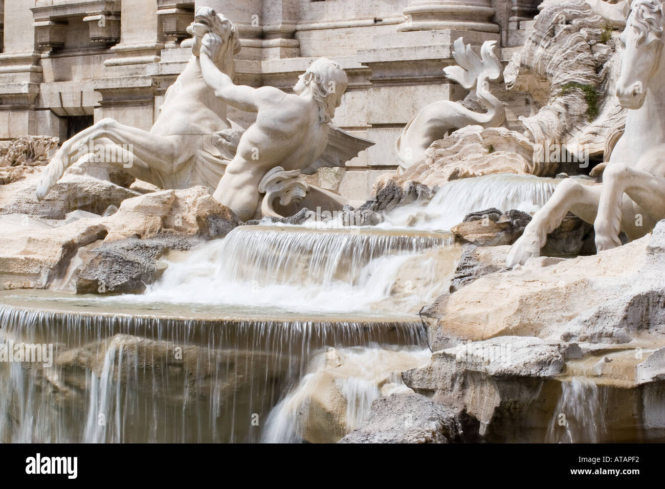 Detalle de la fuente de Trevi, Roma, Italia Foto de stock