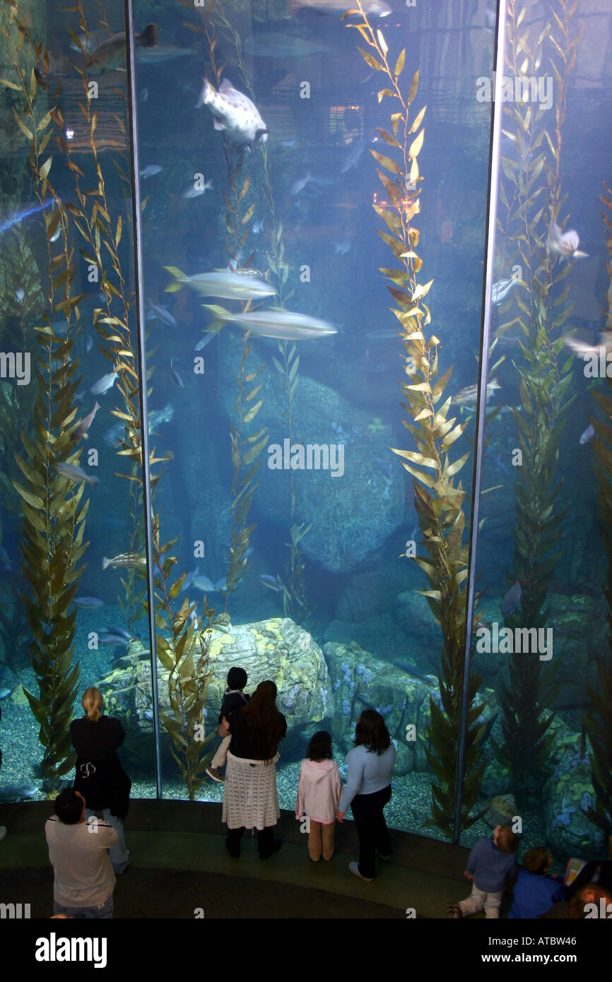 acuario Foto de stock