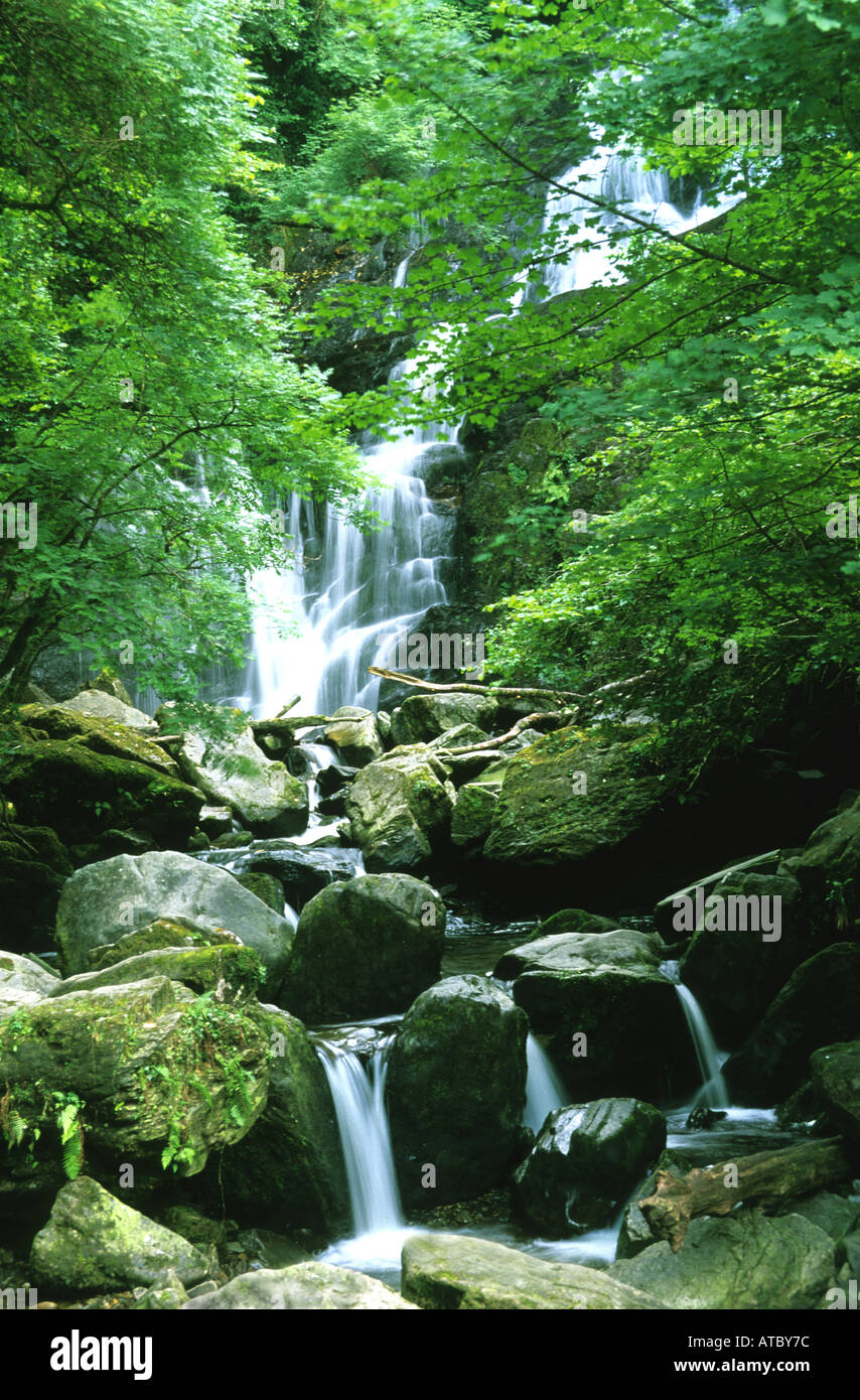 SENIC Torc Waterfall , un famoso lugar de belleza en un lugar de muchos parajes cerca de Killarney, Irlanda Foto de stock
