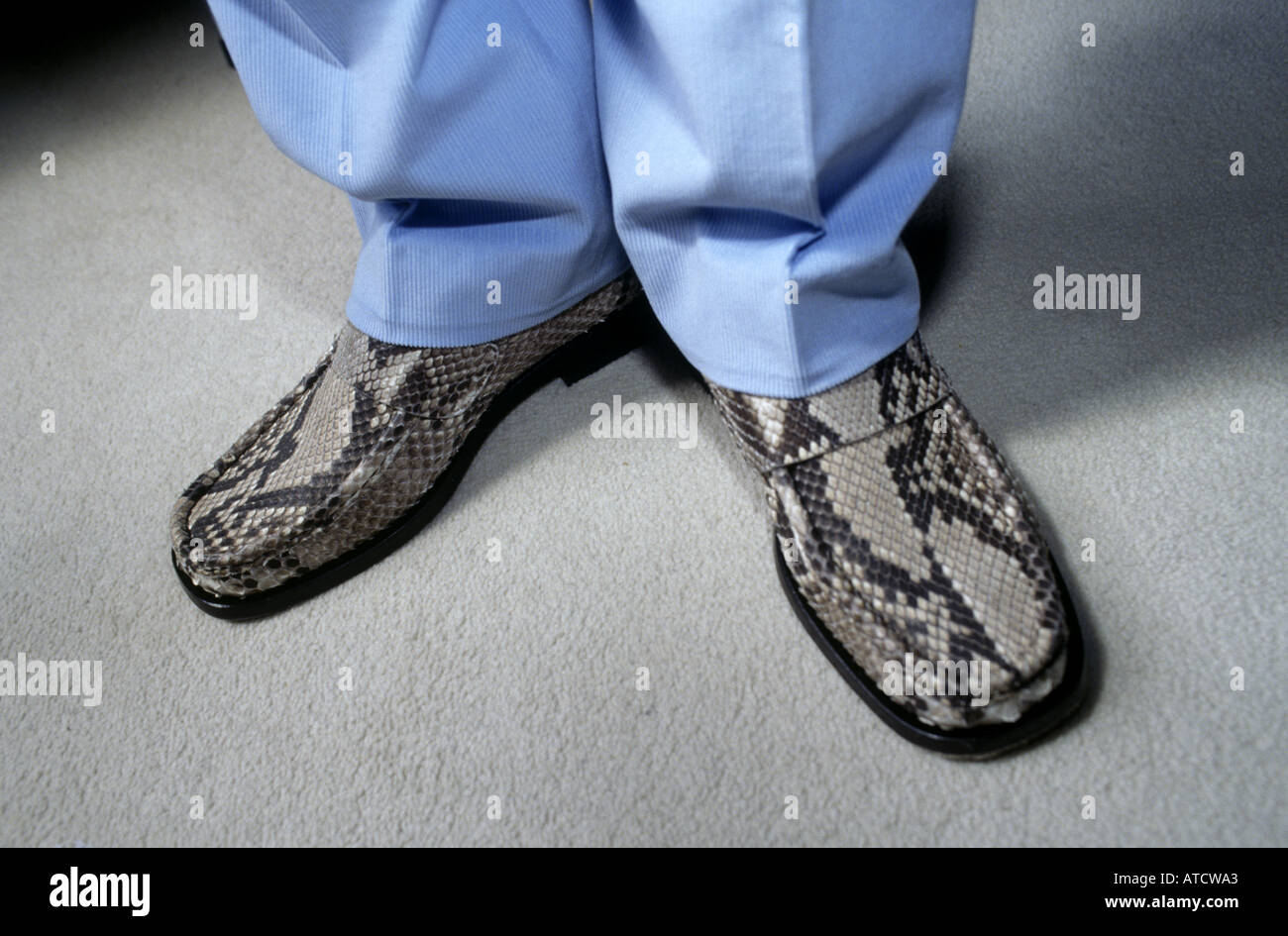 Zapatos de piel de serpiente Fotografía de stock - Alamy