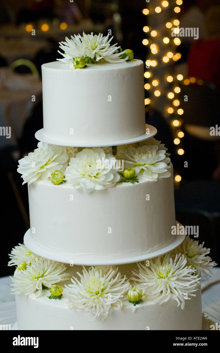 Pastel de boda blanco simple con pale dalias. El fotógrafo debe estar  acreditado para todo uso editorial Fotografía de stock - Alamy