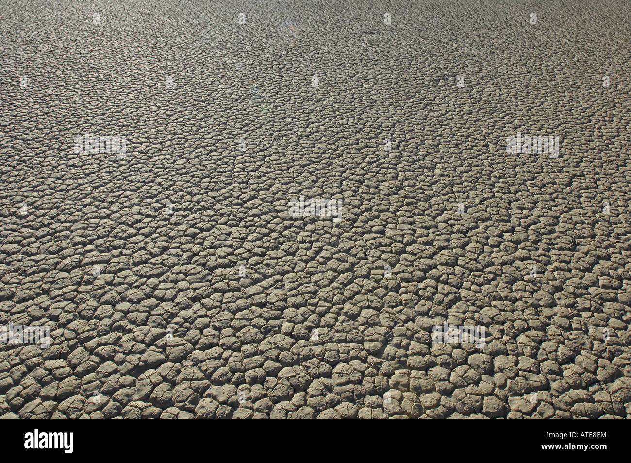 Tierra agrietada seca en la playa del Valle de la muerte Racetrack. Foto de stock