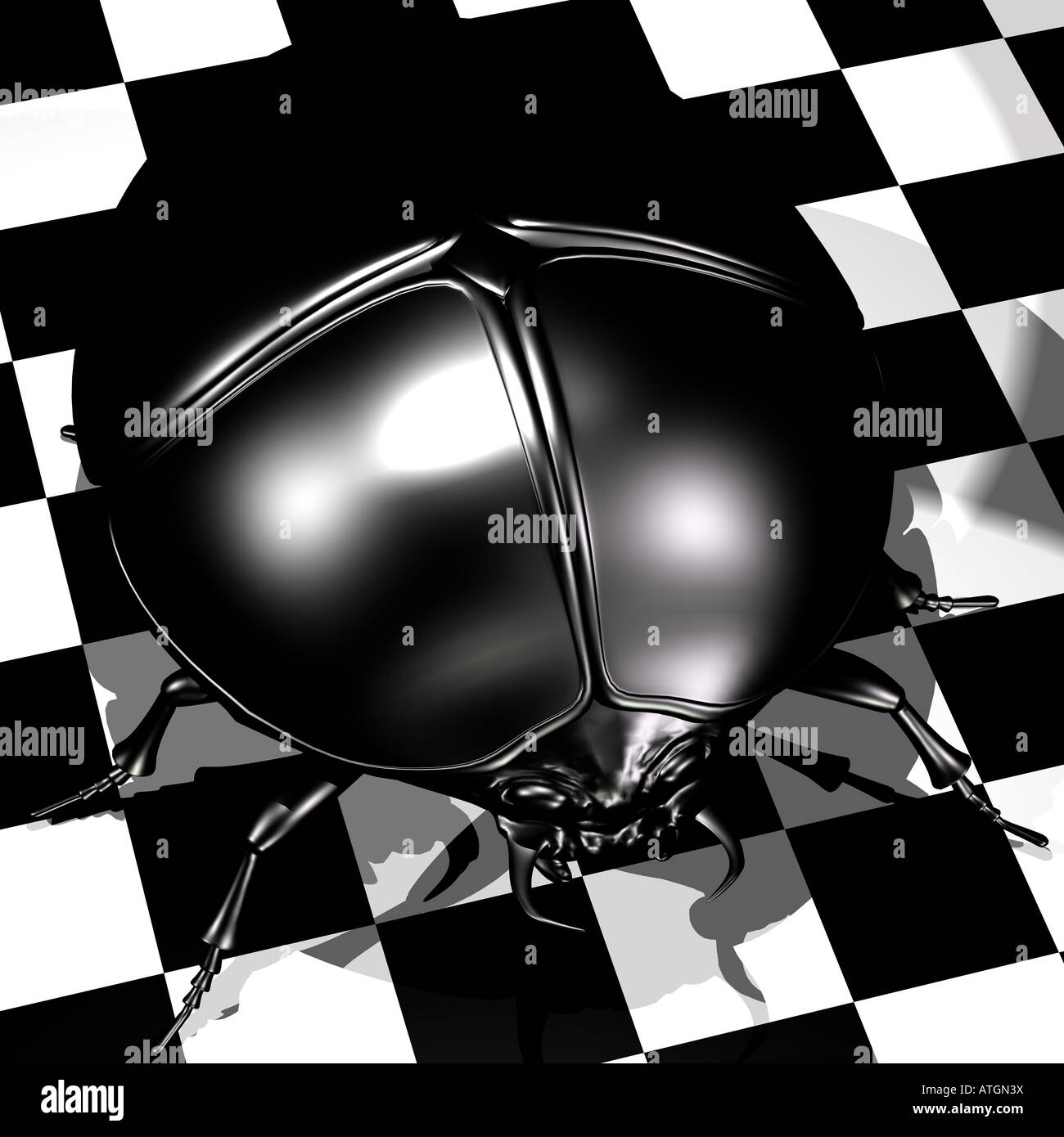 Un escarabajo negro de ajedrez como fondo cuadriculado blanco/negro Foto de stock