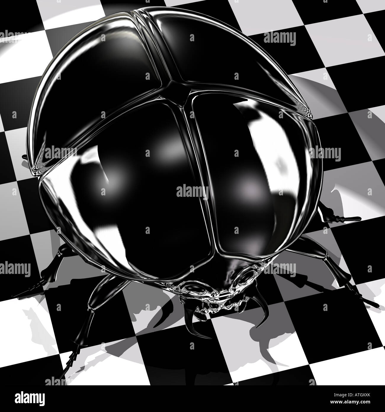 Negro, brillante y un escarabajo de ajedrez como fondo cuadriculado blanco/negro Foto de stock