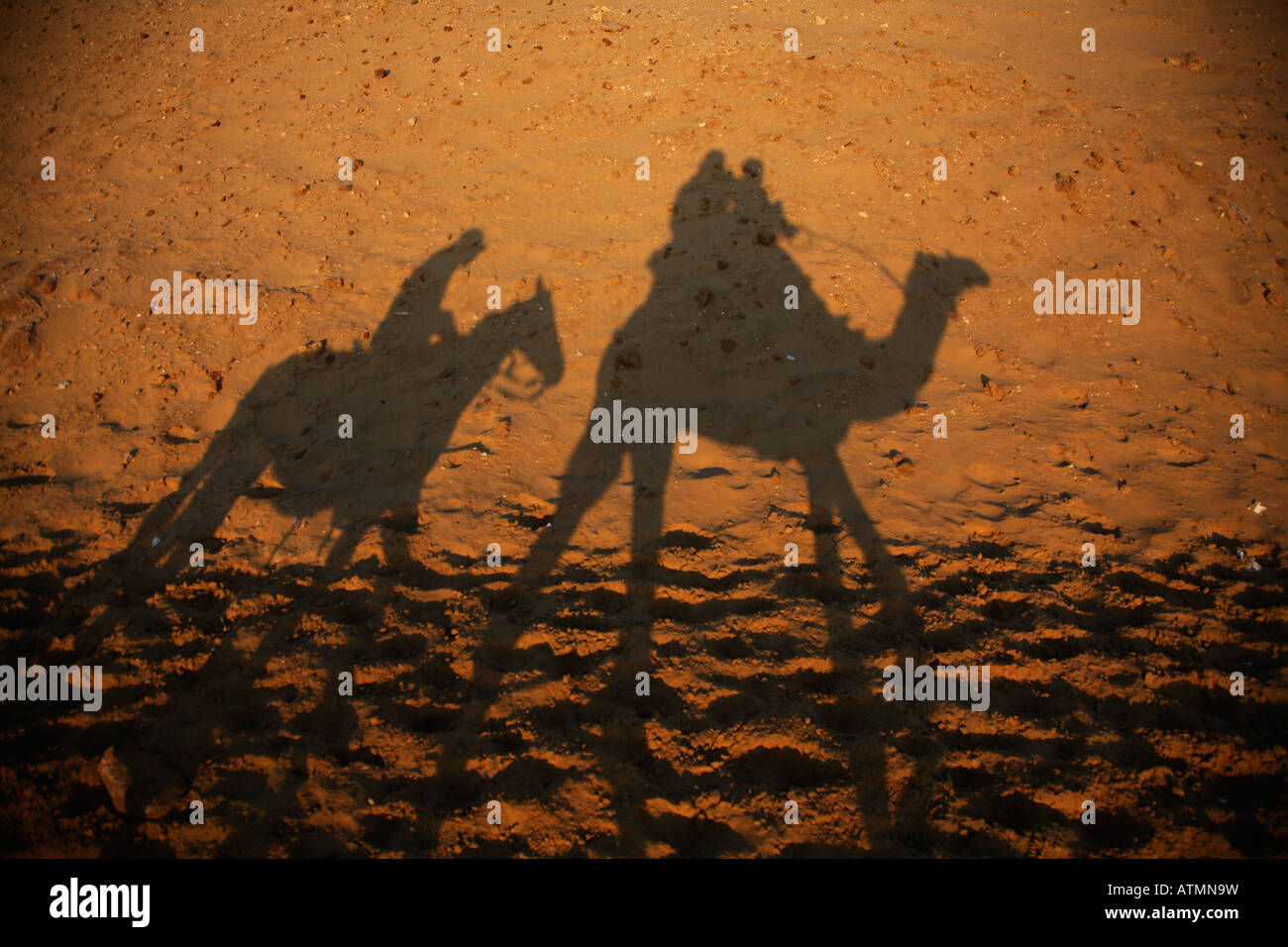 Siluetas y los jinetes de camellos en la arena por las pirámides en El Cairo. Foto de stock