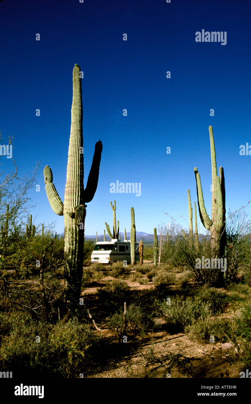 Vida de RV en el Saguaro National Monument AZ Arizona Parque Nacional Saguaro cactus terreno desierto de cactus Foto de stock