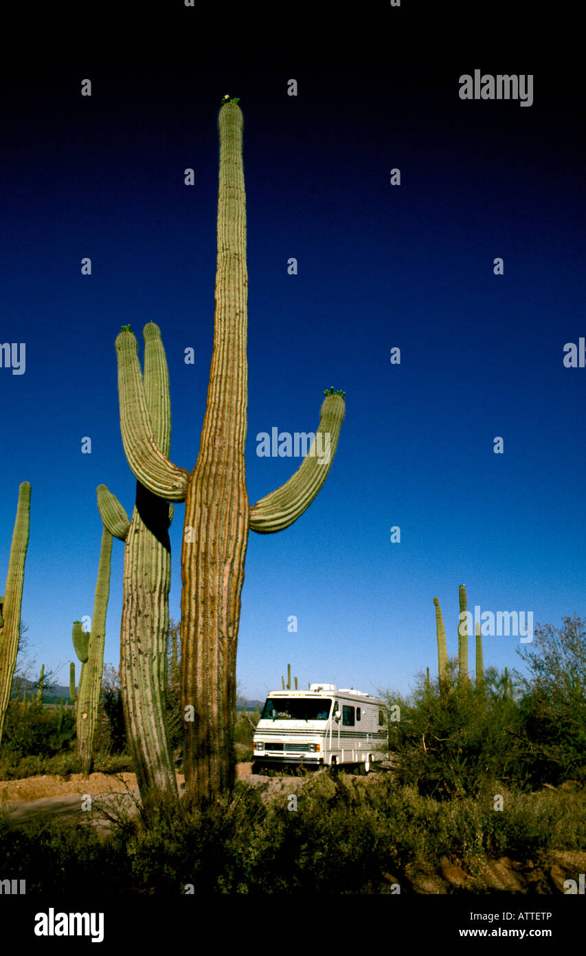 Vida de RV en el Saguaro National Monument AZ Arizona Parque Nacional Saguaro cactus terreno desierto de cactus Foto de stock