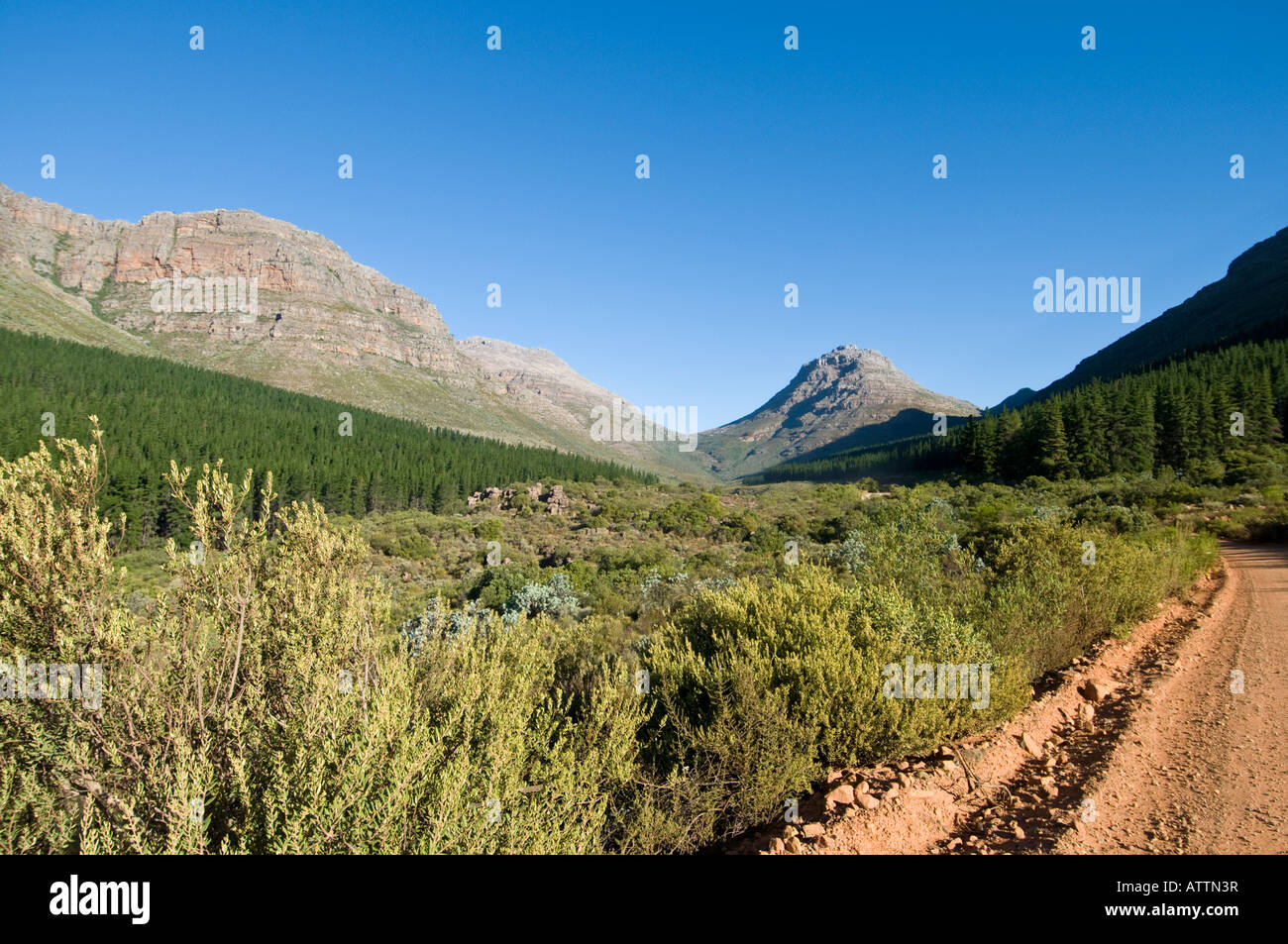 El Cederberg Área Silvestre en el Cabo Occidental de Sudáfrica Foto de stock