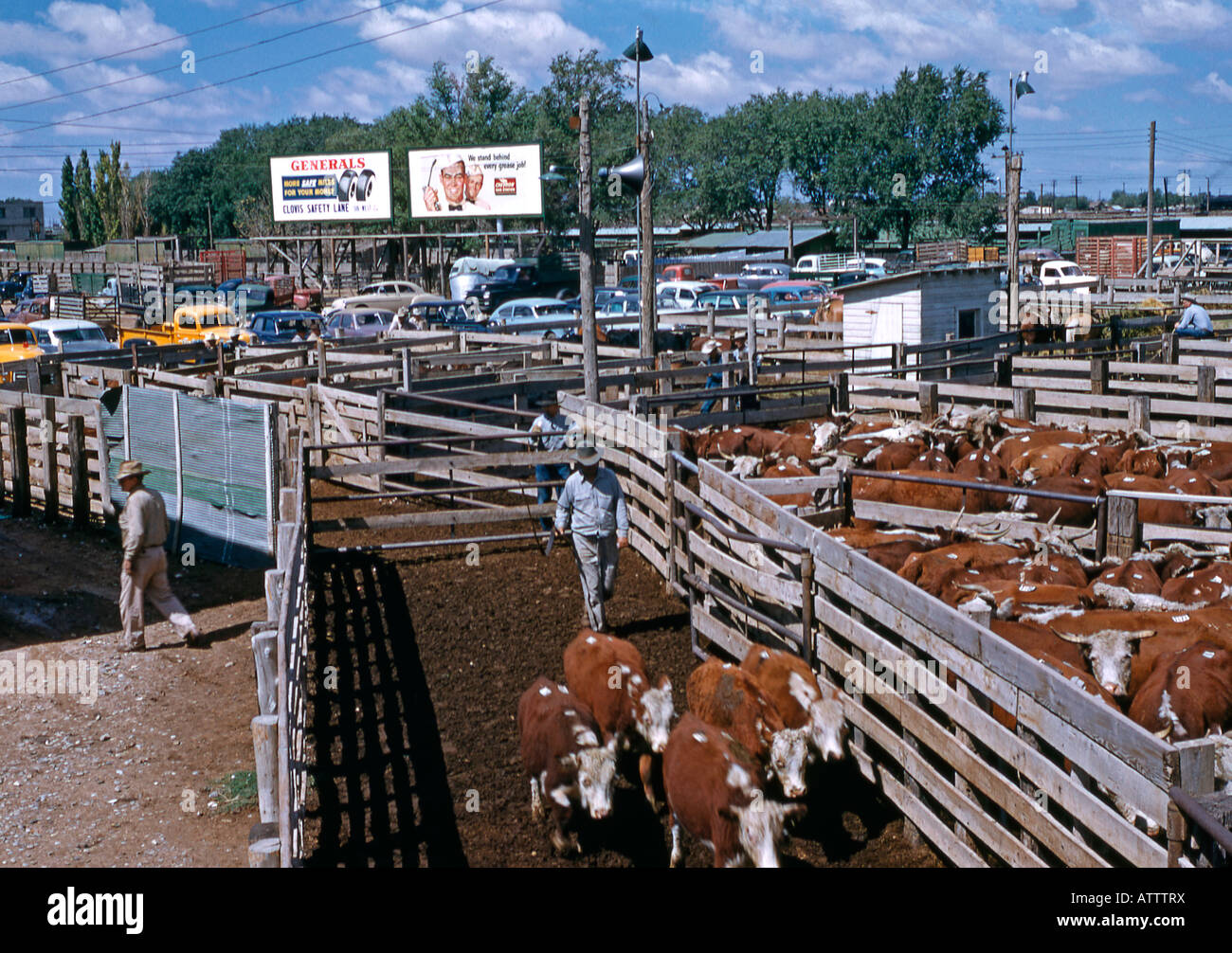 1950 agricultura mexicana fotografías e imágenes de alta resolución Alamy