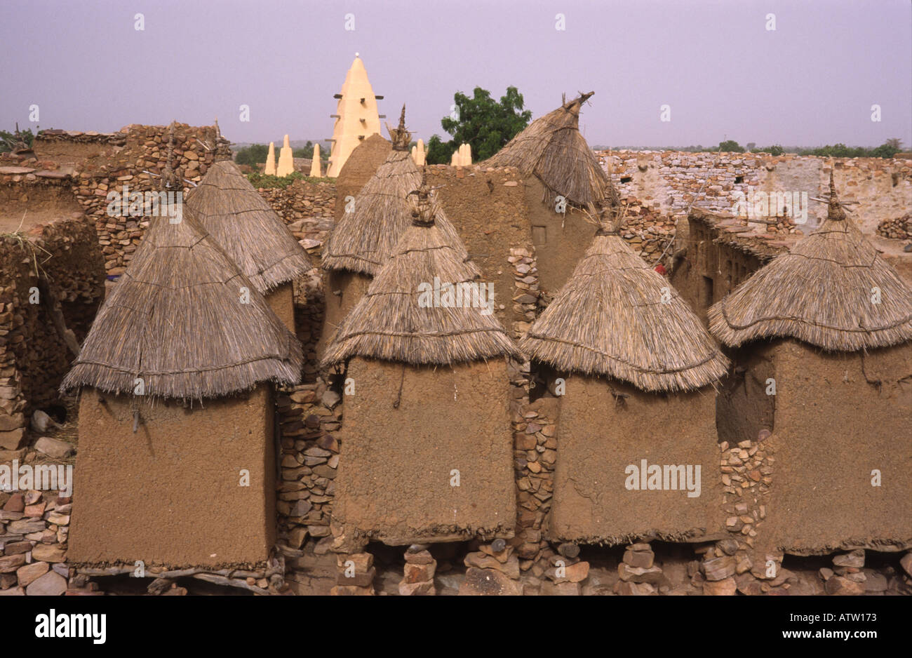 El país Dogon de Malí África occidental una fila de graneros con mezquita en el fondo Foto de stock