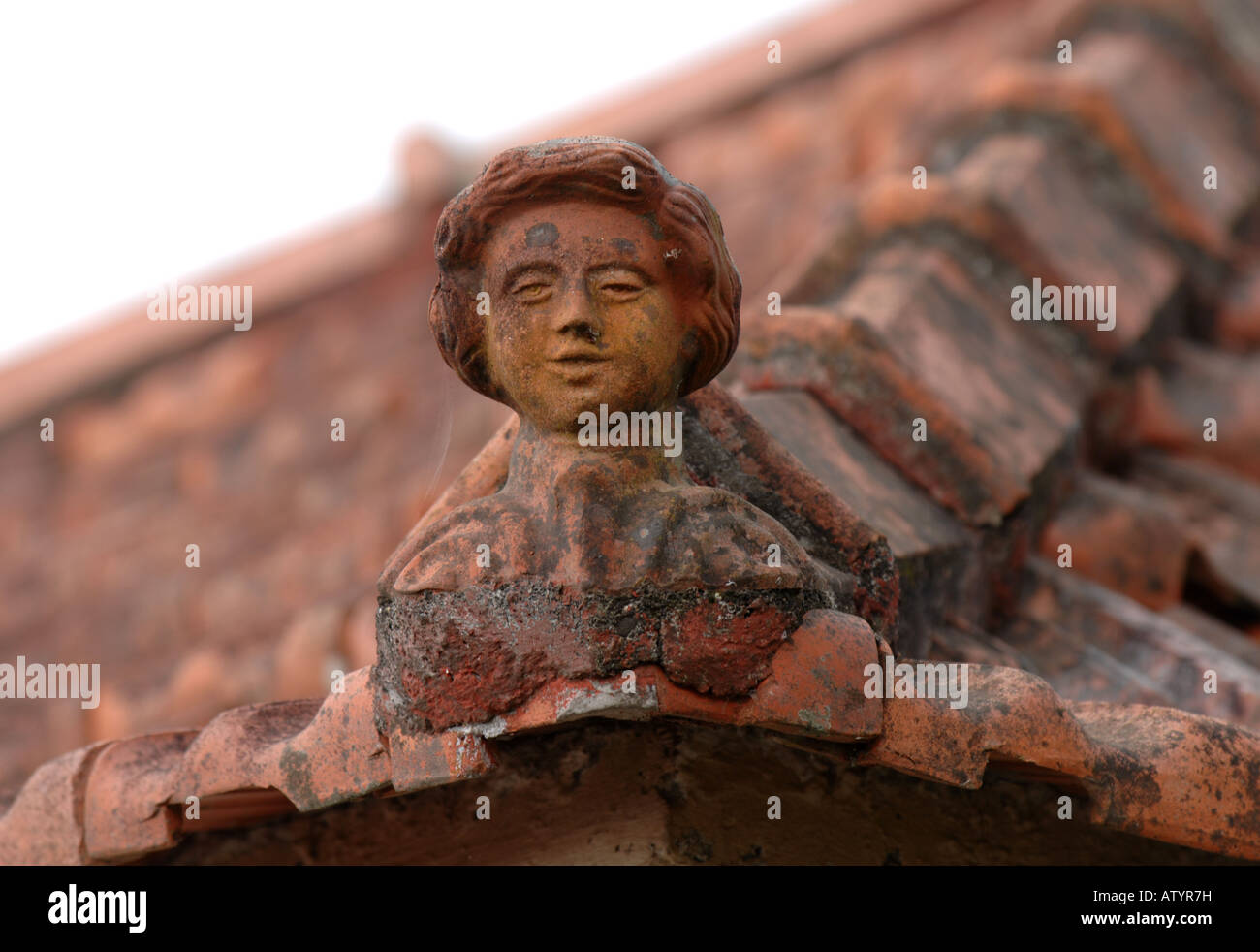 Escultura del techo, Madeira Foto de stock