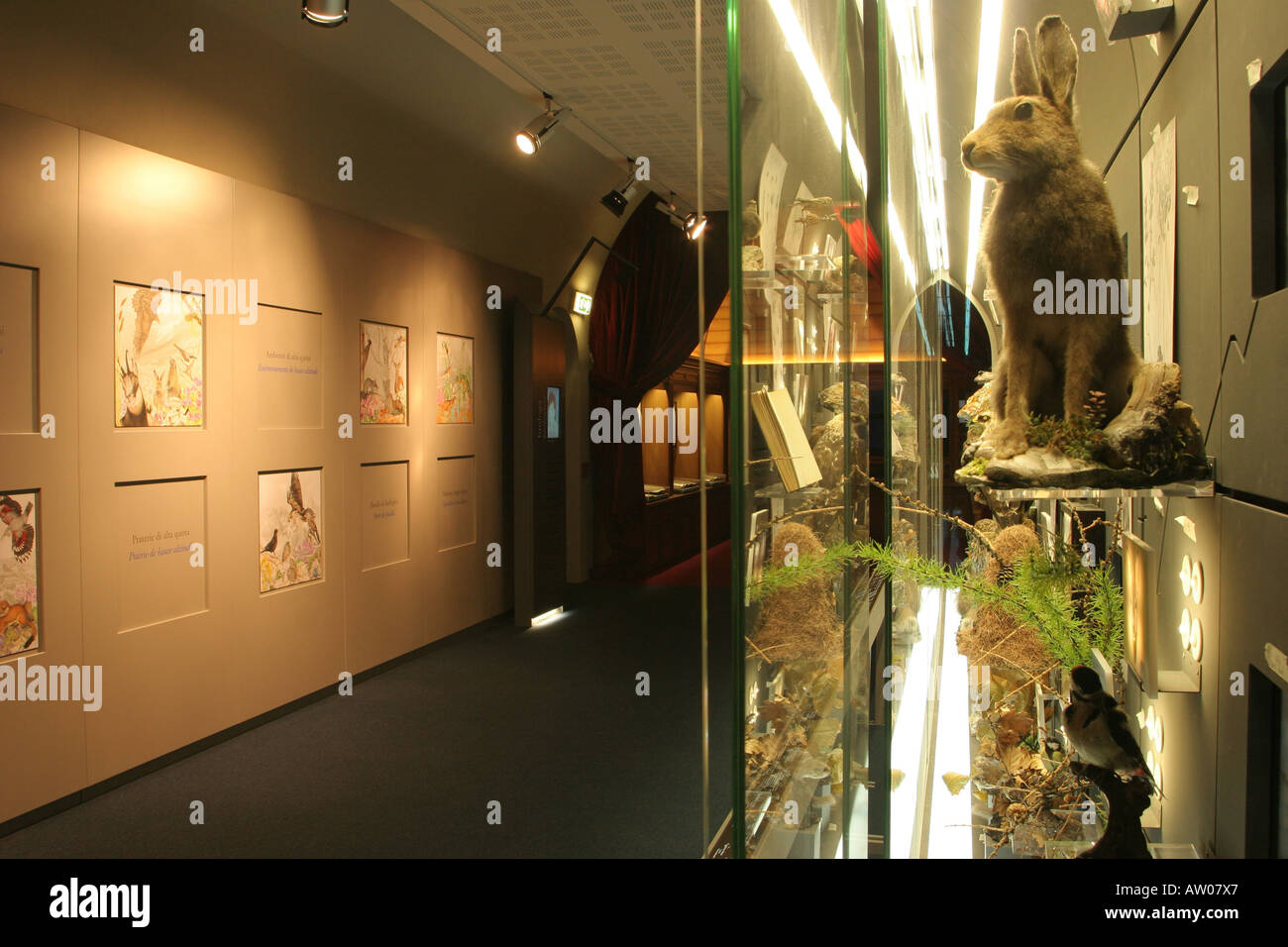 Museo delle Alpi Forte di Bard Valle d Aosta Italia Fotografía de stock