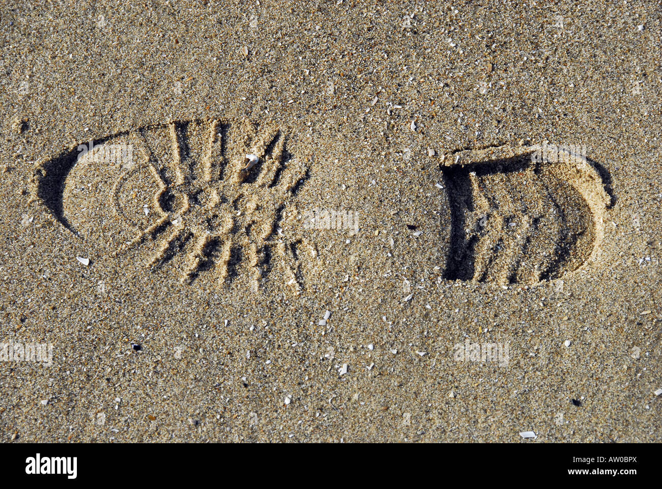 Solo zapato solitario en una playa arenosa de impresión Foto de stock