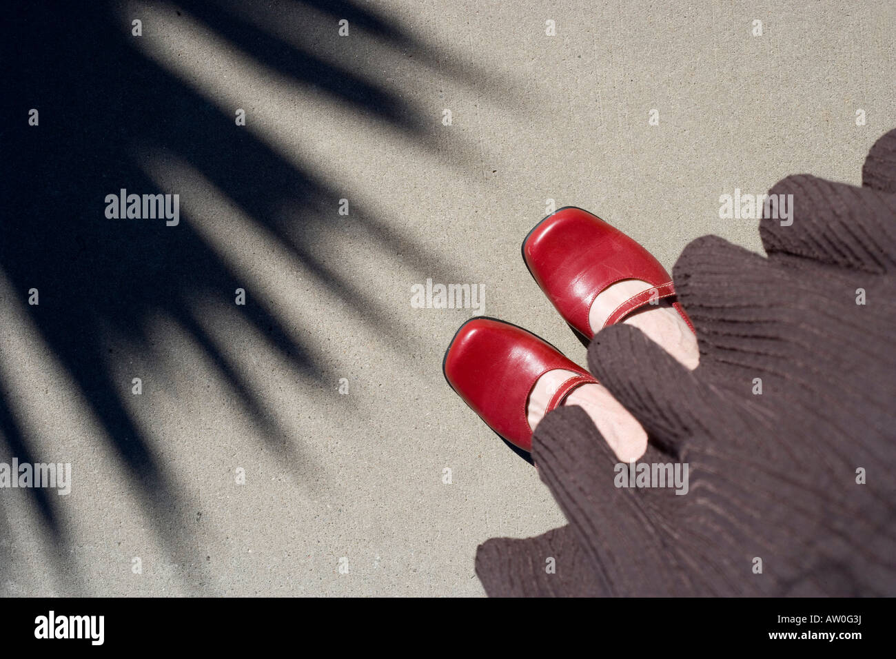 Mirando zapatos rojos frente a la sombra de plantas de yuca Foto de stock