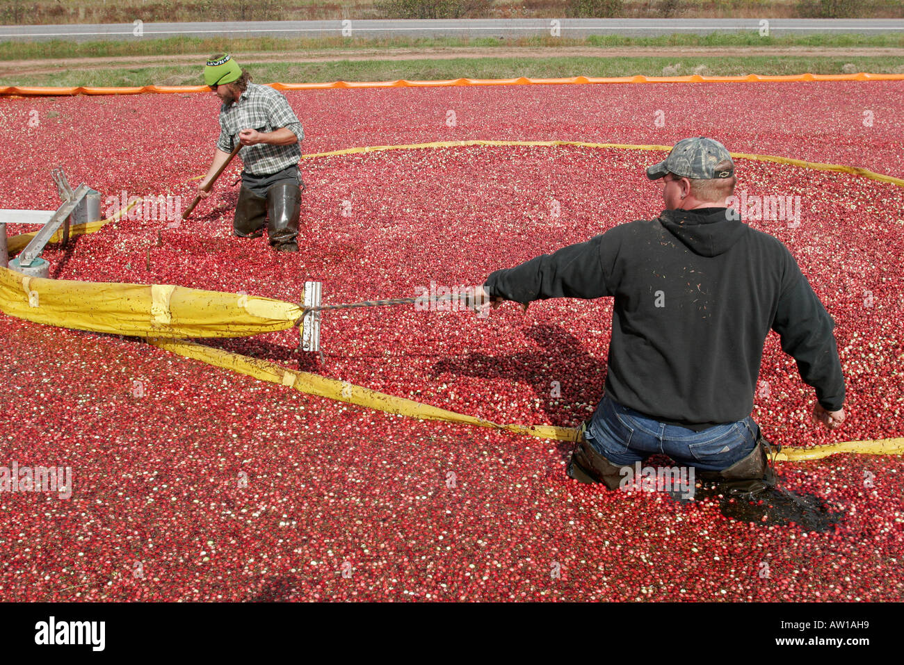 Ruta de la autopista 173 fotografías e imágenes de alta resolución Alamy