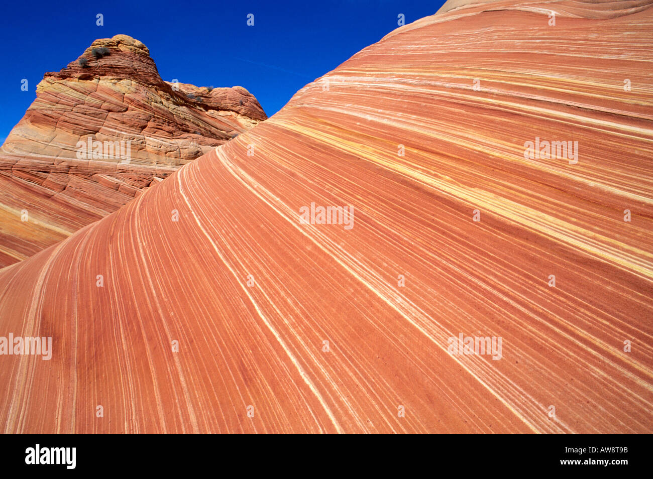 Remolinos de arenisca formación conocida como la ola Coyote Buttes Paria Canyon Vermilion Cliffs Wilderness Arizona Foto de stock
