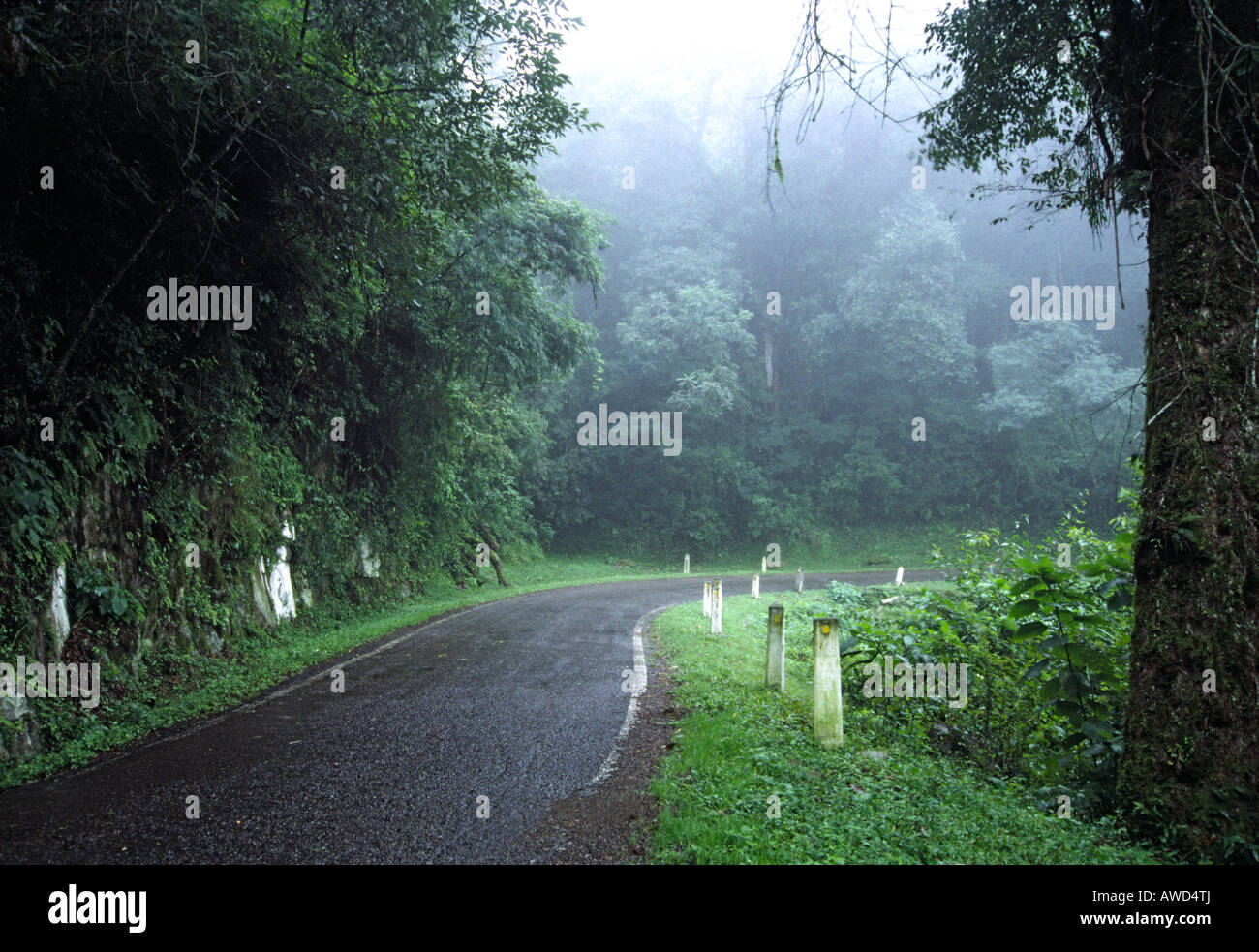 Carretera de montaña denominada "cornisa" unirse carretera salta a ciudades de Jujuy en Argentina y cruzando a través de un bosque lluvioso Foto de stock
