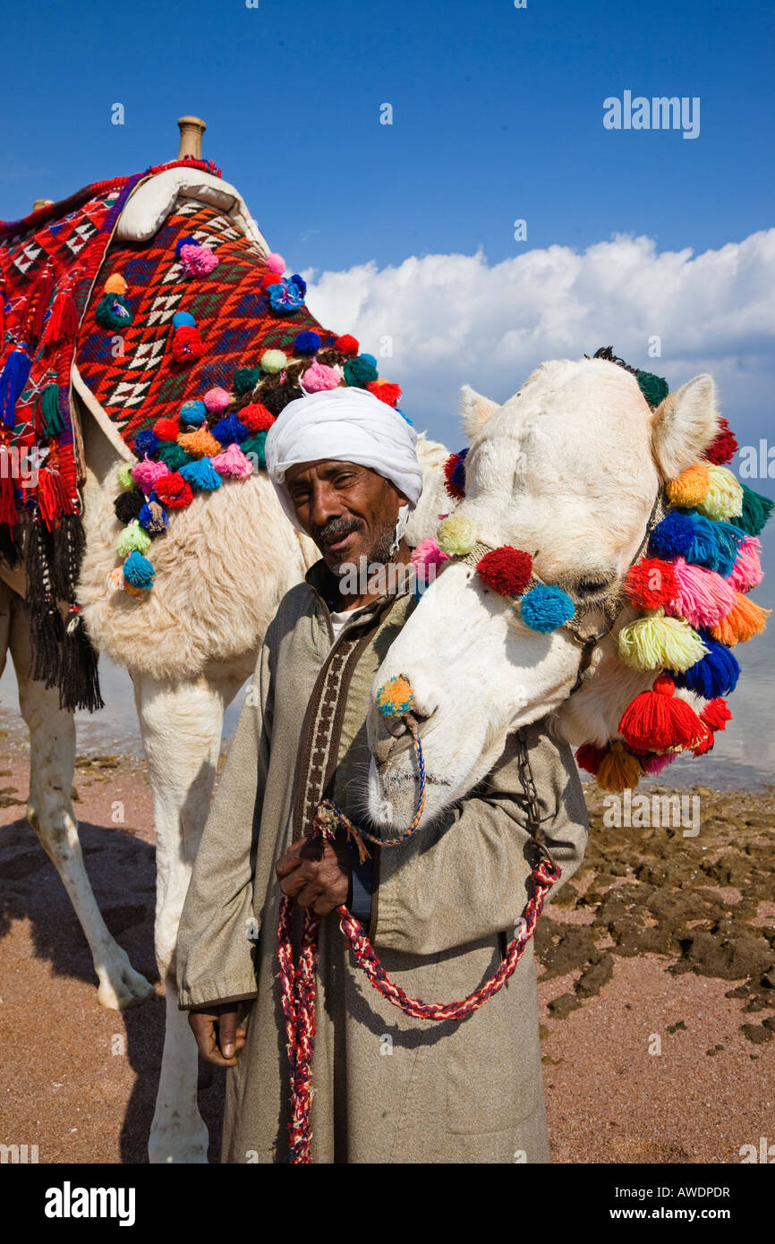 Egipcio con camel Foto de stock
