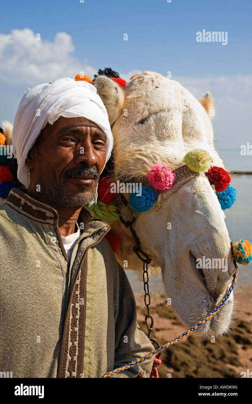 Egipcio con camel, Sharm el Sheikh, Egipto Foto de stock