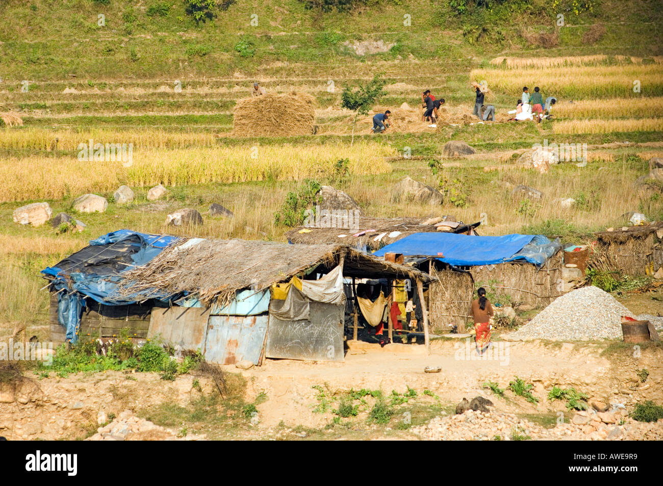 puede un aidi vivir en nepal