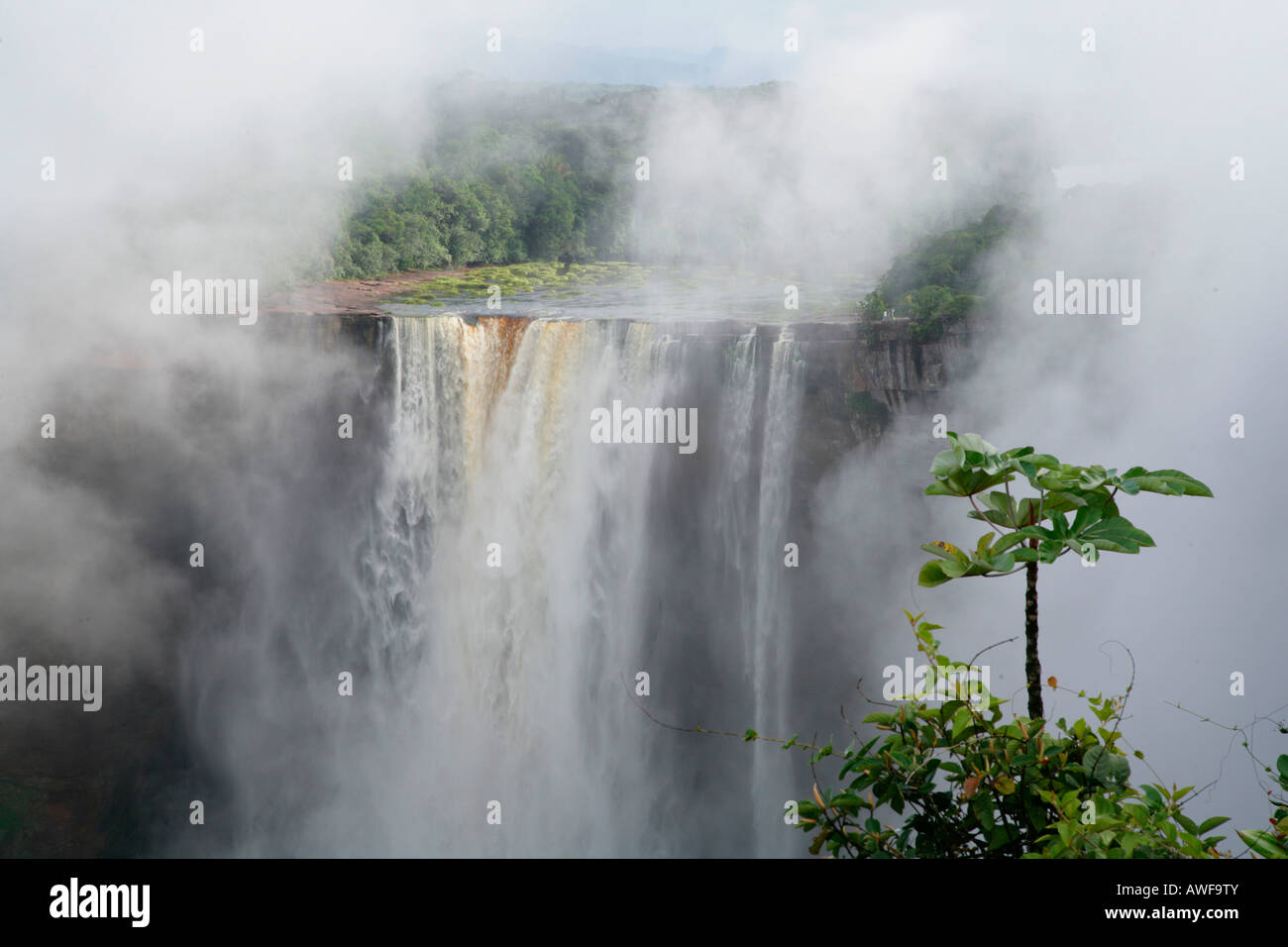 Después de las lluvias tropicales, Cataratas Kaieteur, Parque Nacional Potaro, Guyana, Sudamérica Foto de stock