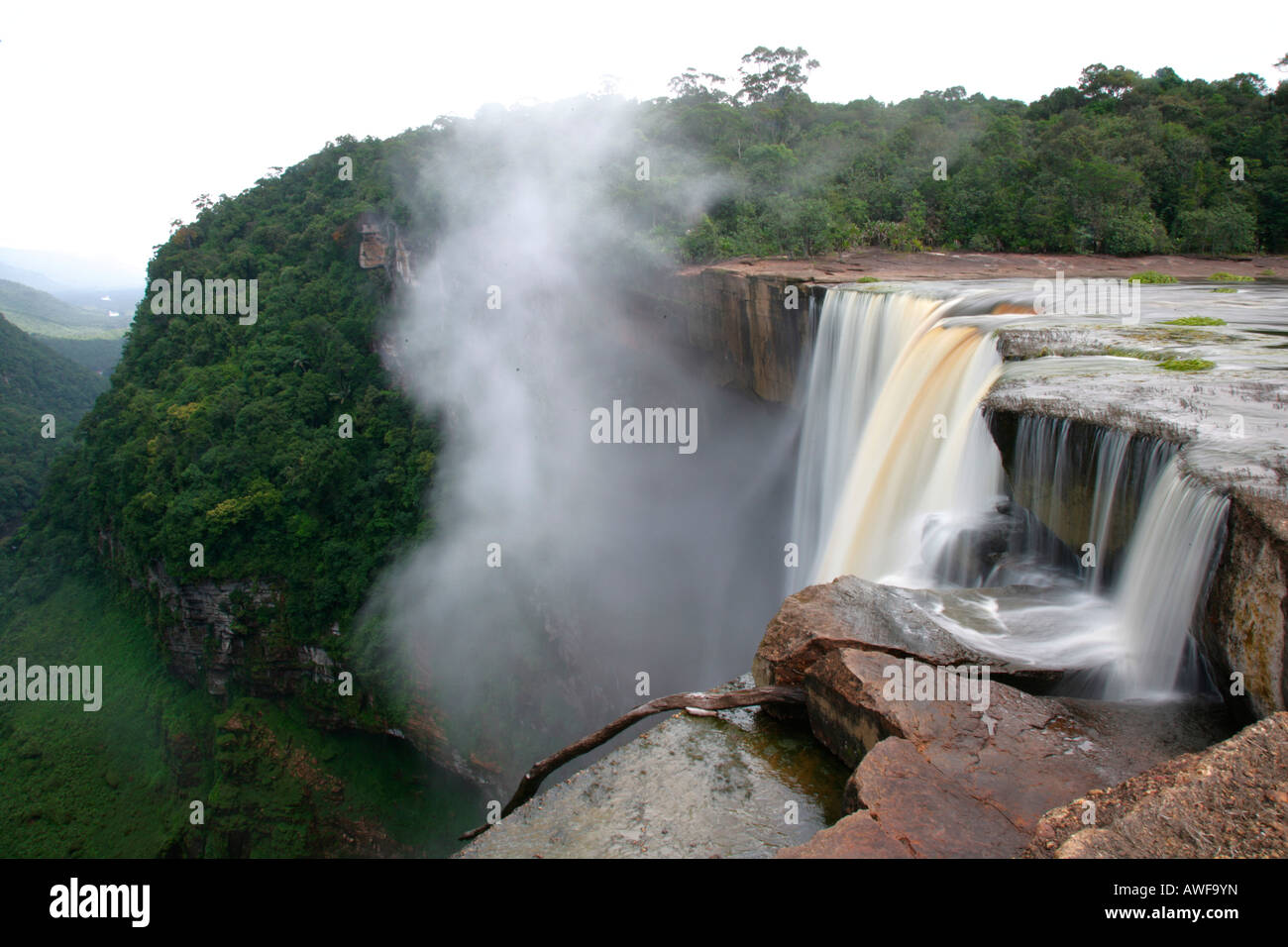 Cataratas Kaieteur, Parque Nacional Potaro, Guyana, Sudamérica Foto de stock