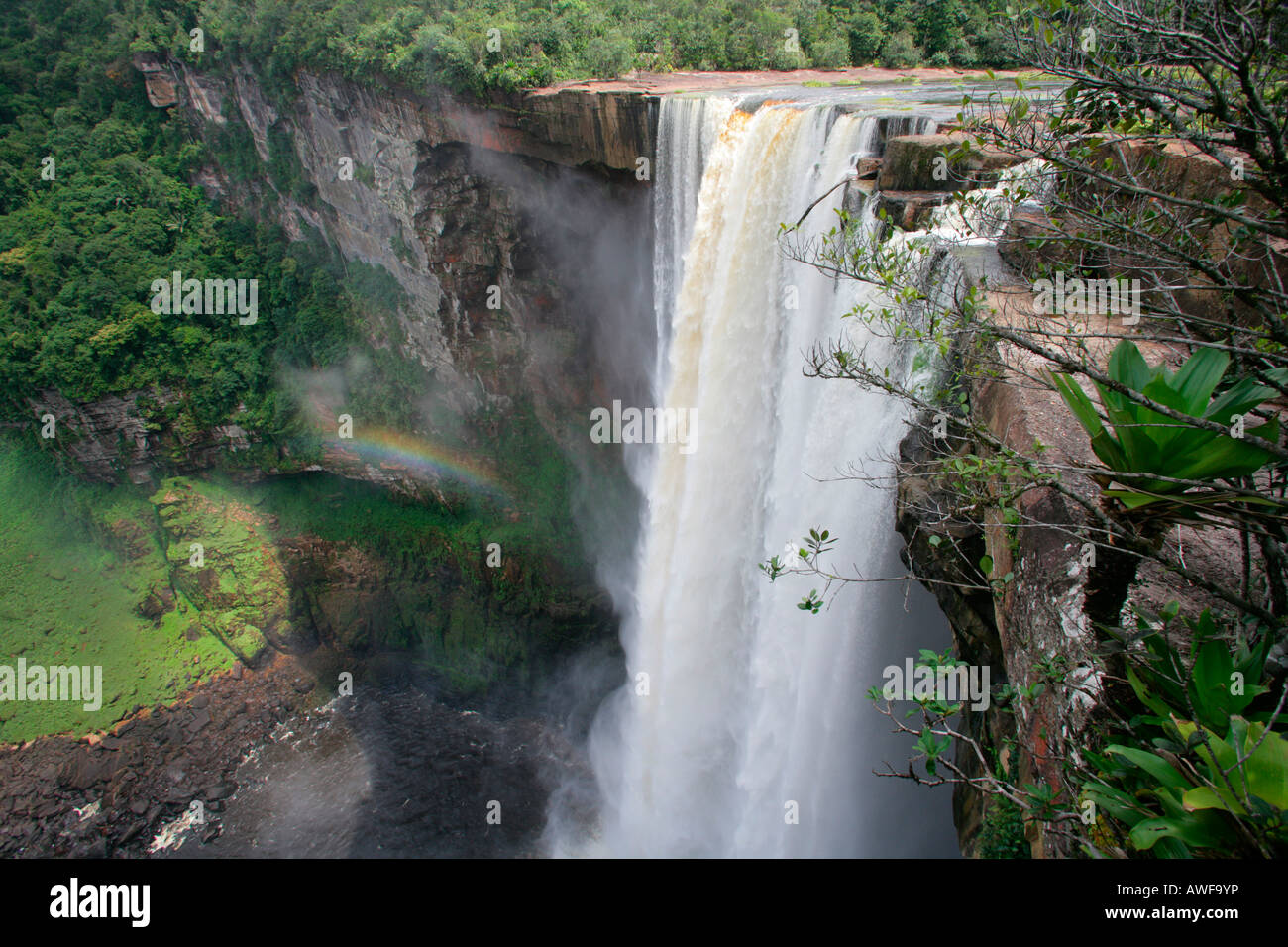 Cataratas Kaieteur, Parque Nacional Potaro, Guyana, Sudamérica Foto de stock