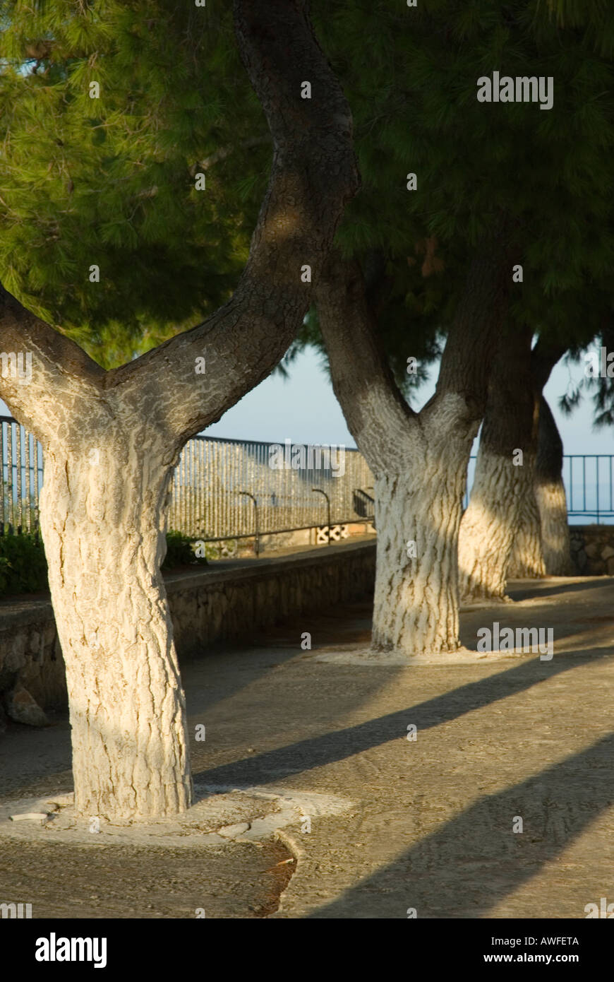 Monasterio de árboles, Zakynthos, Grecia Foto de stock