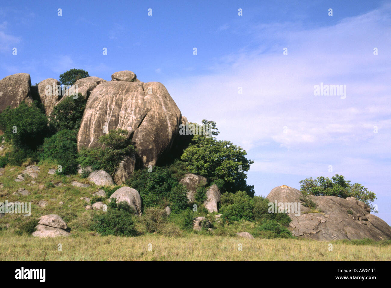 Simba Kjopes en Tanzania con leones durmiendo sobre las rocas en la parte inferior derecha Foto de stock