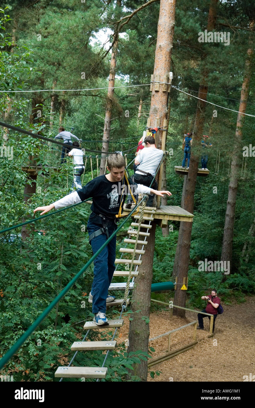 Los Ninos Disfrutan Go Ape Alambre Alto Aventura Forestal Curso Swinley Forest Bracknell Berkshire Inglaterra Meridional Bretana Uk Fotografia De Stock Alamy