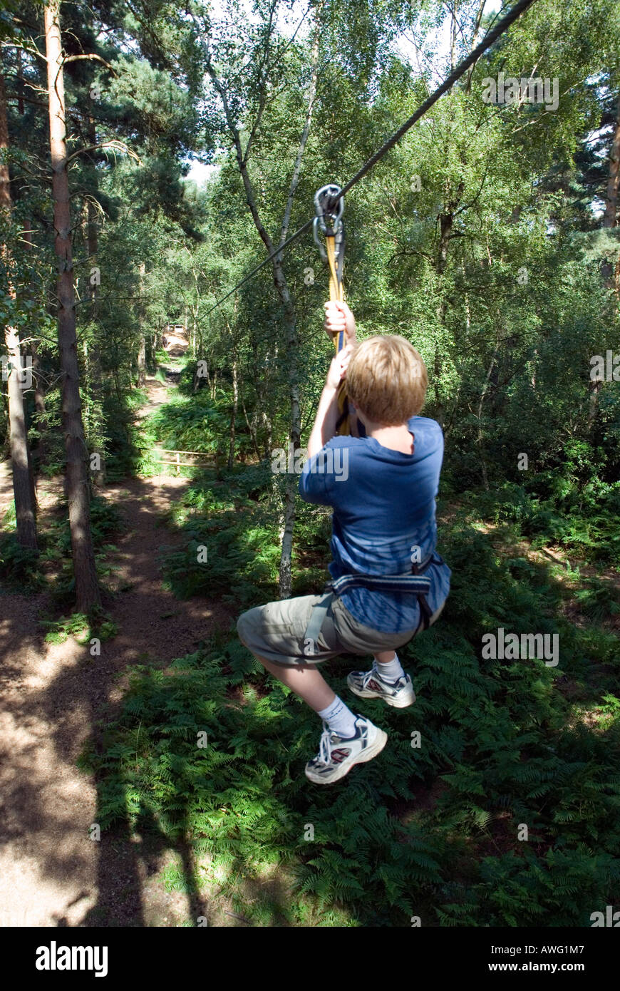 Chico Zip Cable Go Ape Alambre Alto Aventura Forestal Curso Swinley Forest Bracknell Berkshire Sur De Inglaterra Gran Bretana Fotografia De Stock Alamy